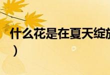 什么花是在夏天绽放的（什么花是在夏天开的）