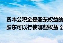 资本公积金是股东权益的一部分吗 股东权益包括哪些部分 股东可以行使哪些权益 公积金是什么