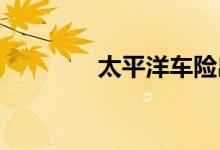 太平洋车险出险查询真方便