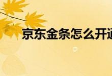 京东金条怎么开通（有两种渠道可选）