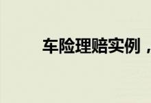 车险理赔实例，车险理赔案例参考