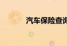 汽车保险查询中要注意的问题