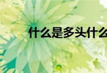 什么是多头什么是空头 什么是多头