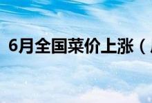6月全国菜价上涨（后期价格走势会怎么样）