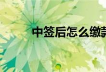 中签后怎么缴款 中签后如何缴款 