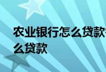 农业银行怎么贷款需要什么手续 农业银行怎么贷款