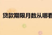 贷款期限月数从哪看 贷款期限月数怎么填写