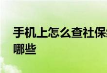 手机上怎么查社保缴费记录 社保缴费途径有哪些 