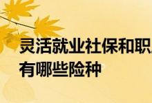 灵活就业社保和职工社保区别大吗 社保保险有哪些险种 