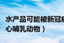 水产品可能被新冠病毒污染而不是感染（要小心哺乳动物）