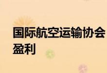 国际航空运输协会：航空业将在2023年恢复盈利