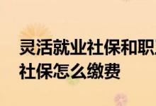 灵活就业社保和职工社保区别在哪里 手机交社保怎么缴费 