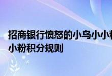 招商银行愤怒的小鸟小小粉费用说明 招商银行愤怒的小鸟小小粉积分规则
