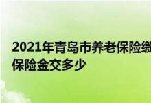 2021年青岛市养老保险缴费标准 2022年青岛灵活就业养老保险金交多少 