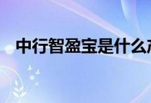 中行智盈宝是什么产品 中银智盈宝是什么