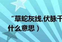 “草蛇灰线,伏脉千里”（草蛇灰线伏脉千里什么意思）