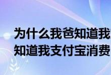为什么我爸知道我支付宝消费了 为什么我爸知道我支付宝消费