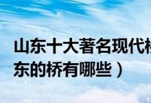 山东十大著名现代桥梁（山东最有名的大桥山东的桥有哪些）