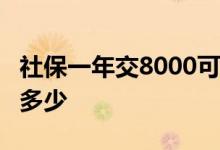 社保一年交8000可以自己交吗 交15年退休拿多少 