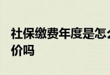 社保缴费年度是怎么调整的 2022年社保费涨价吗 