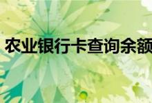 农业银行卡查询余额短信（农业银行卡查询）