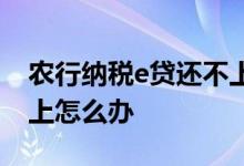 农行纳税e贷还不上怎么办 农行纳税e贷还不上怎么办