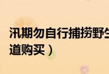 汛期勿自行捕捞野生小龙虾食用（要在正规渠道购买）