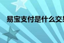 易宝支付是什么交易平台 易宝支付是什么
