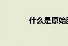 什么是原始股 什么是原始股