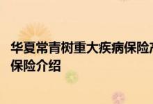 华夏常青树重大疾病保险产品介绍 华夏保险常青树重大疾病保险介绍