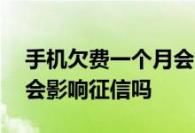 手机欠费一个月会上征信吗 手机欠费一个月会影响征信吗