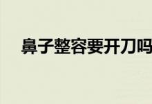鼻子整容要开刀吗（鼻子整容要多少钱）