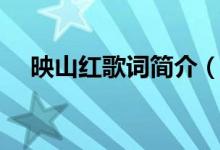 映山红歌词简介（映山红歌词都有什么）