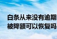 白条从来没有逾期为什么会降额 白条没逾期被降额可以恢复吗