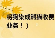 将狗染成熊猫收费1500（宠物咖啡馆开设新业务！）