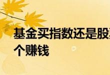 基金买指数还是股票 买指数基金和买个股哪个赚钱