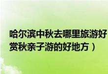 哈尔滨中秋去哪里旅游好（哈尔滨十大中秋旅游好去处赏月赏秋亲子游的好地方）