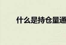 什么是持仓量通俗（什么是持仓量）