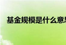 基金规模是什么意思 买基金选规模大的吗