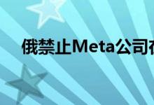 俄禁止Meta公司在俄活动判决正式生效