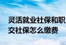 灵活就业社保和职工社保的区别在哪里 手机交社保怎么缴费 