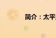 简介：太平洋车险查询系统
