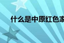 什么是中原红色家族综合保险2021版？