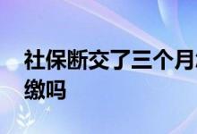 社保断交了三个月怎么办 社保断交个人能补缴吗 