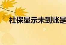 社保显示未到账是什么意思 是什么原因 