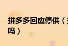 拼多多回应停供（拼多多iPhone是正品行货吗）