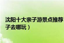 沈阳十大亲子游景点推荐（沈阳亲子游玩的好地方沈阳带孩子去哪玩）