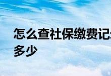 怎么查社保缴费记录 公司交社保缴费比例是多少 