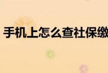 手机上怎么查社保缴费记录 手机上怎么缴费 