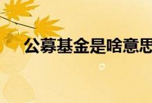 公募基金是啥意思 公募基金是什么意思